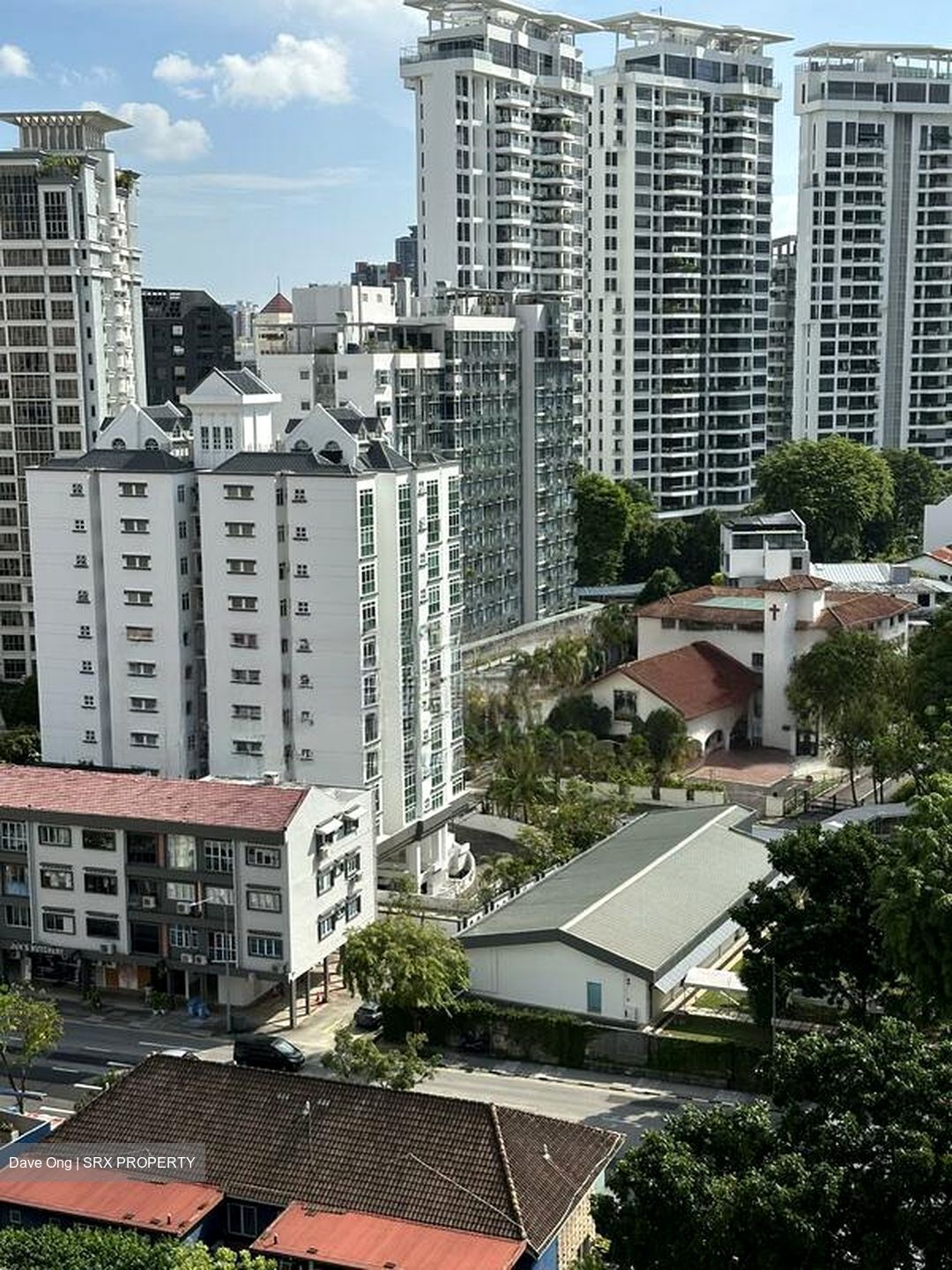 Irwell Hill Residences (D9), Apartment #452021061